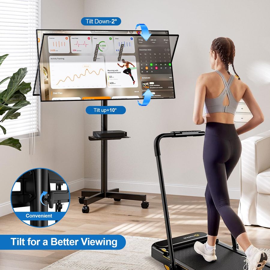 TV Stand for 2365 Inch LCD LED - đánh giá và giá Flat Panel Mount Tilt